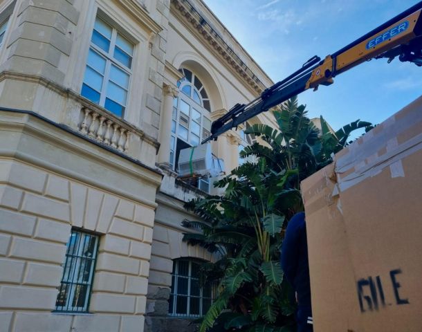 Esempio dalla galleria fotografica di ATG Auricchio Transport & Gru S.r.l.